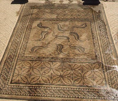 Delfinek, római mozaik az Orpheus-házból, Kr.u. 3. század (mozaik) alkotó: Roman