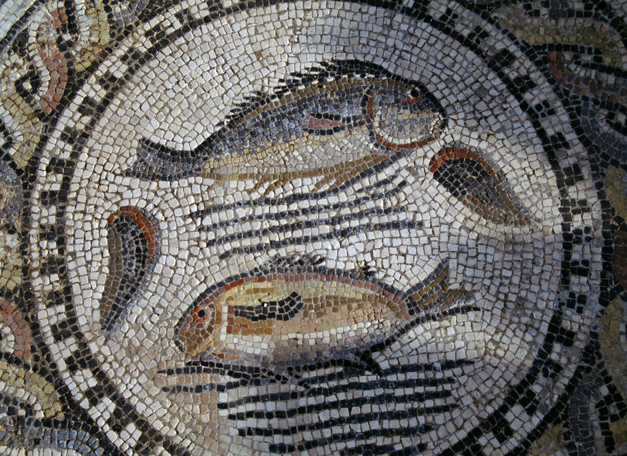Hal, mozaik Volubilis római városában (UNESCO világörökségi lista alkotó: Roman