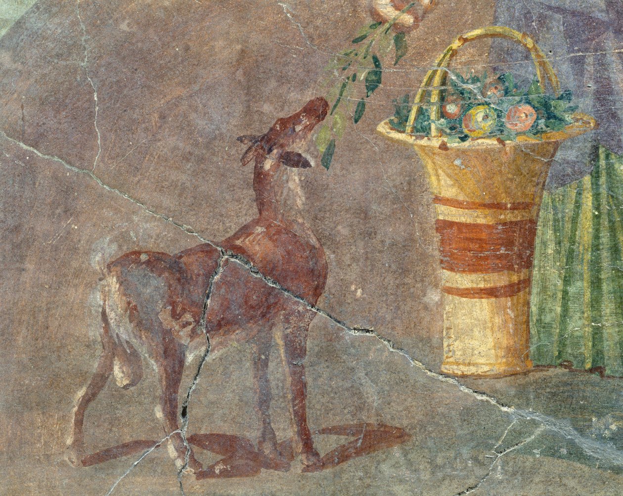 Kecske és gyümölcskosár, freskó Pompejiből, Campania, Olaszország, római civilizáció alkotó: Roman