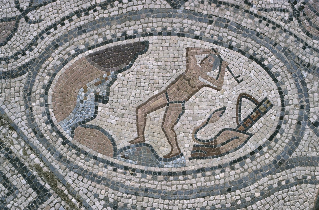 Herkules és az Augeai istálló, a Herkules-ház padlójáról (mozaik) alkotó: Roman