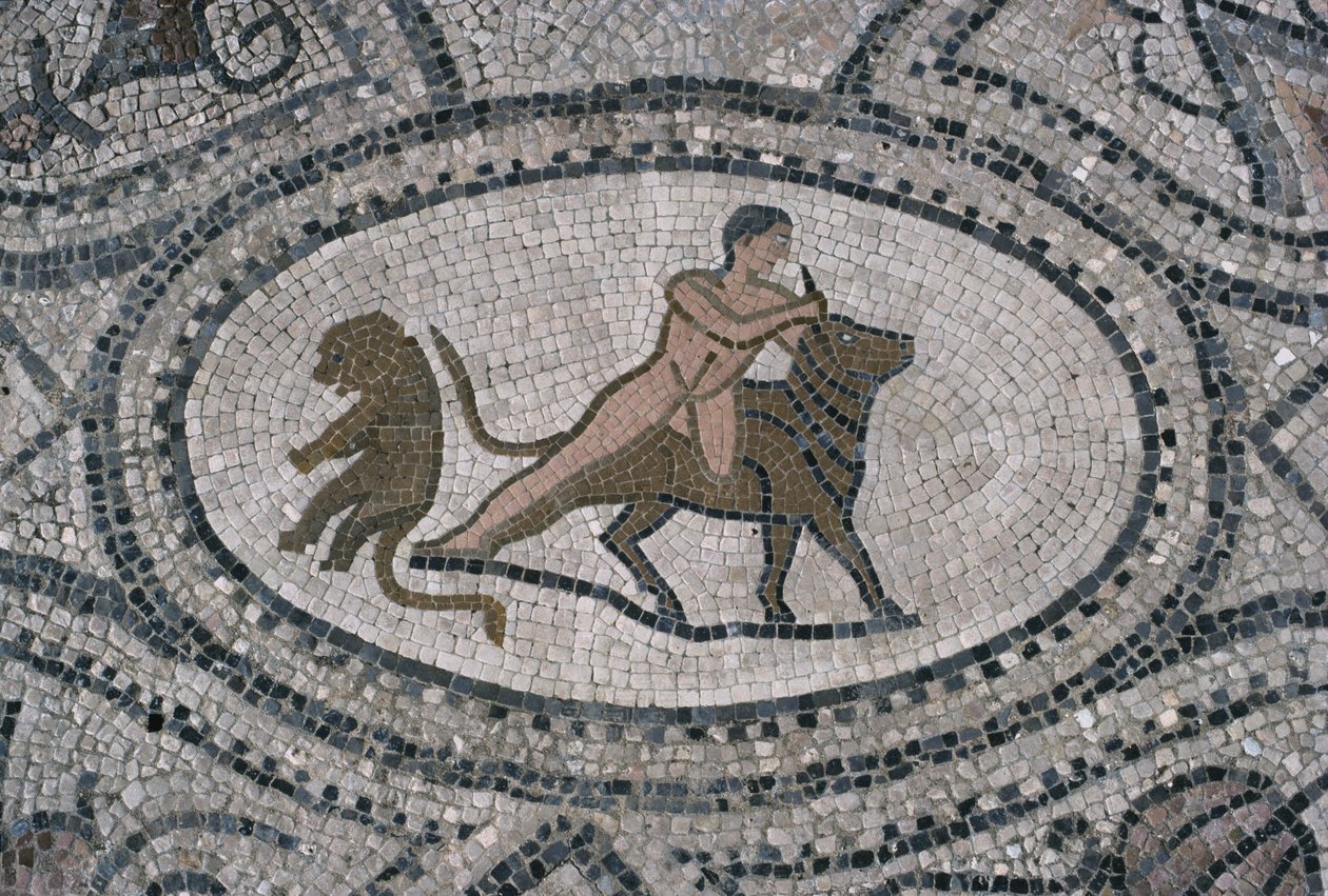Herkules és a krétai bika a "Herkules háza" padlójáról (mozaik) alkotó: Roman