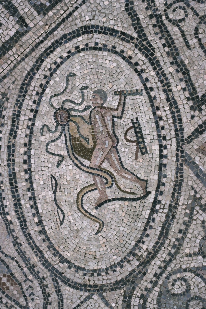 Herkules és a lernai hidra, a Herkules-ház padlójáról (mozaik) alkotó: Roman
