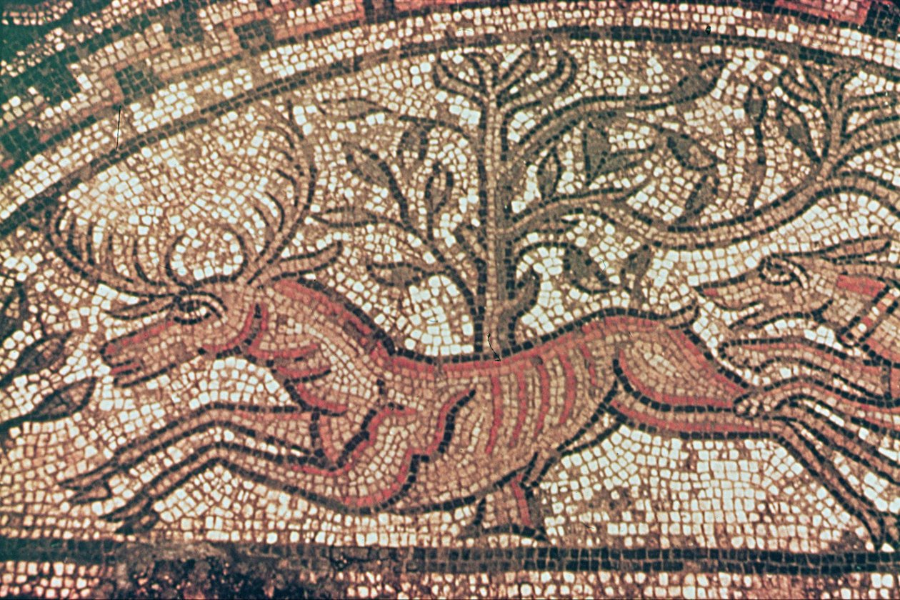 Hinton St. Mary járda (részlet) Kr.u. 350 körül (mozaik) alkotó: Roman
