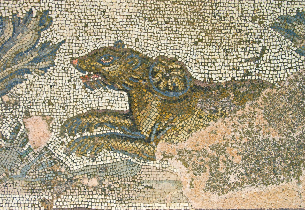 Vadászjelenet, oroszlán részlet, Dionüszosz háza, Paphos, ciprusi mozaik alkotó: Roman