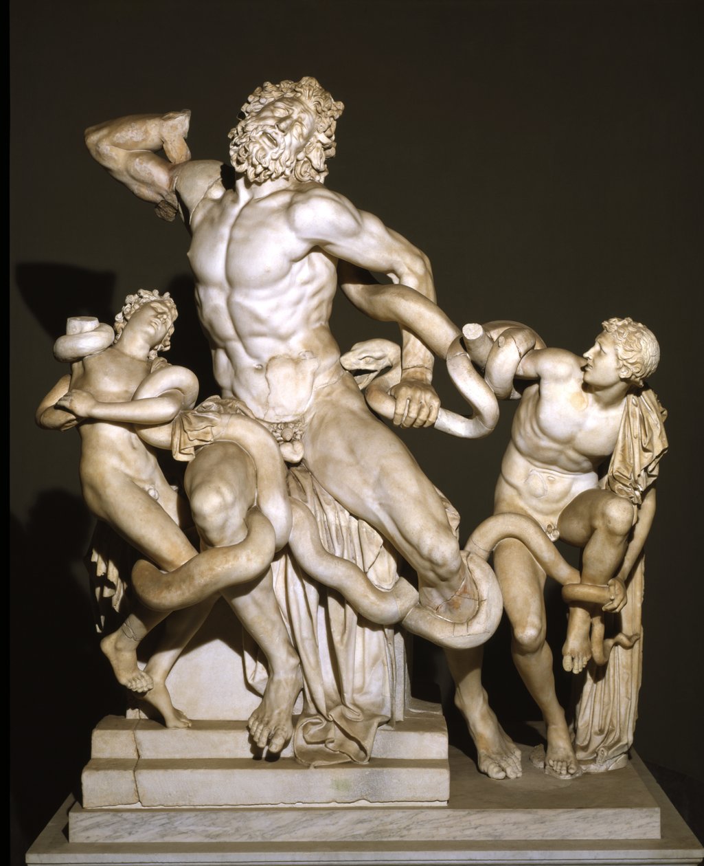 Laocoön és fiai (márvány) alkotó: Roman