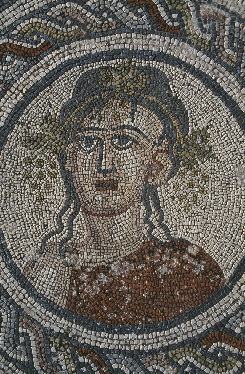 A Négy évszakot ábrázoló mozaik, Dionüszosz háza, részlet, fej (mozaik) alkotó: Roman