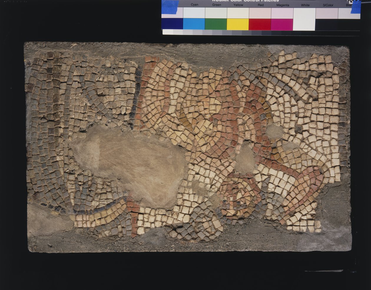 Mozaik a Menander-házból Zeusz, 3.-4. század (mészkő és márvány tesserák) alkotó: Roman