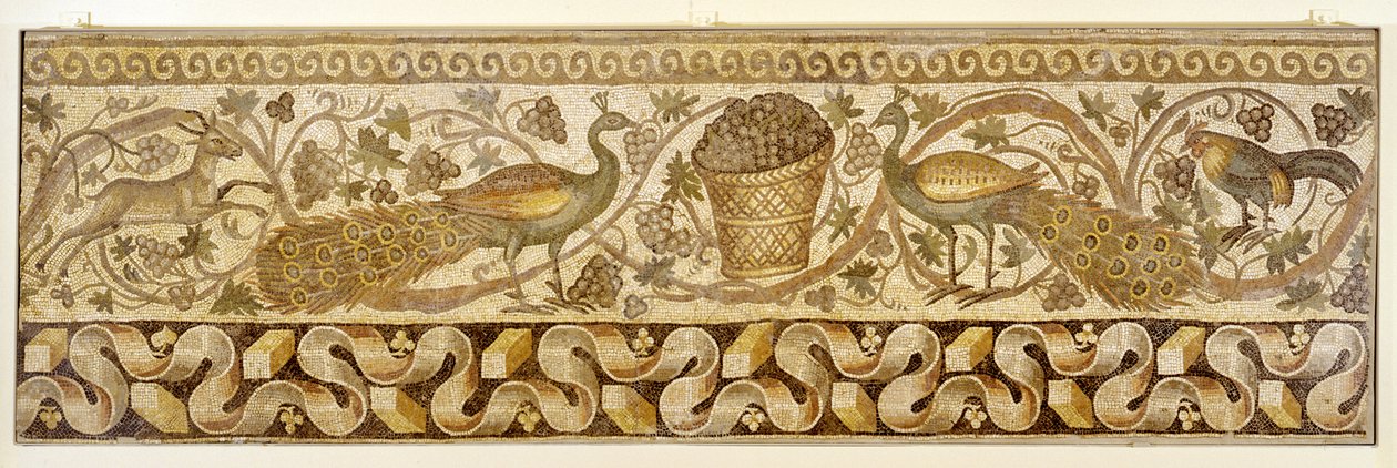 Mozaik egy szőlőtekercs szegélyéről pávákkal, Antiochia, 526-540 alkotó: Roman