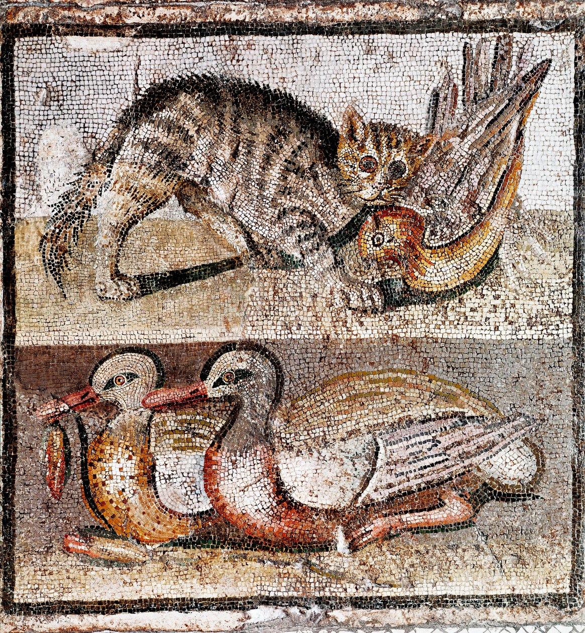 Római művészet: mozaik, amely egy fogolyt és két kacsát fogó vadmacskát ábrázol. Kr.e. 200-150. Róma, Museo Nazionale Romano – római művészet: mozaik, amely egy fogolyt és két kacsát fogó vadmacskát ábrázol. Kr.e. 200-150. Museo Nazionale Romano, Róma, Ola alkotó: Roman