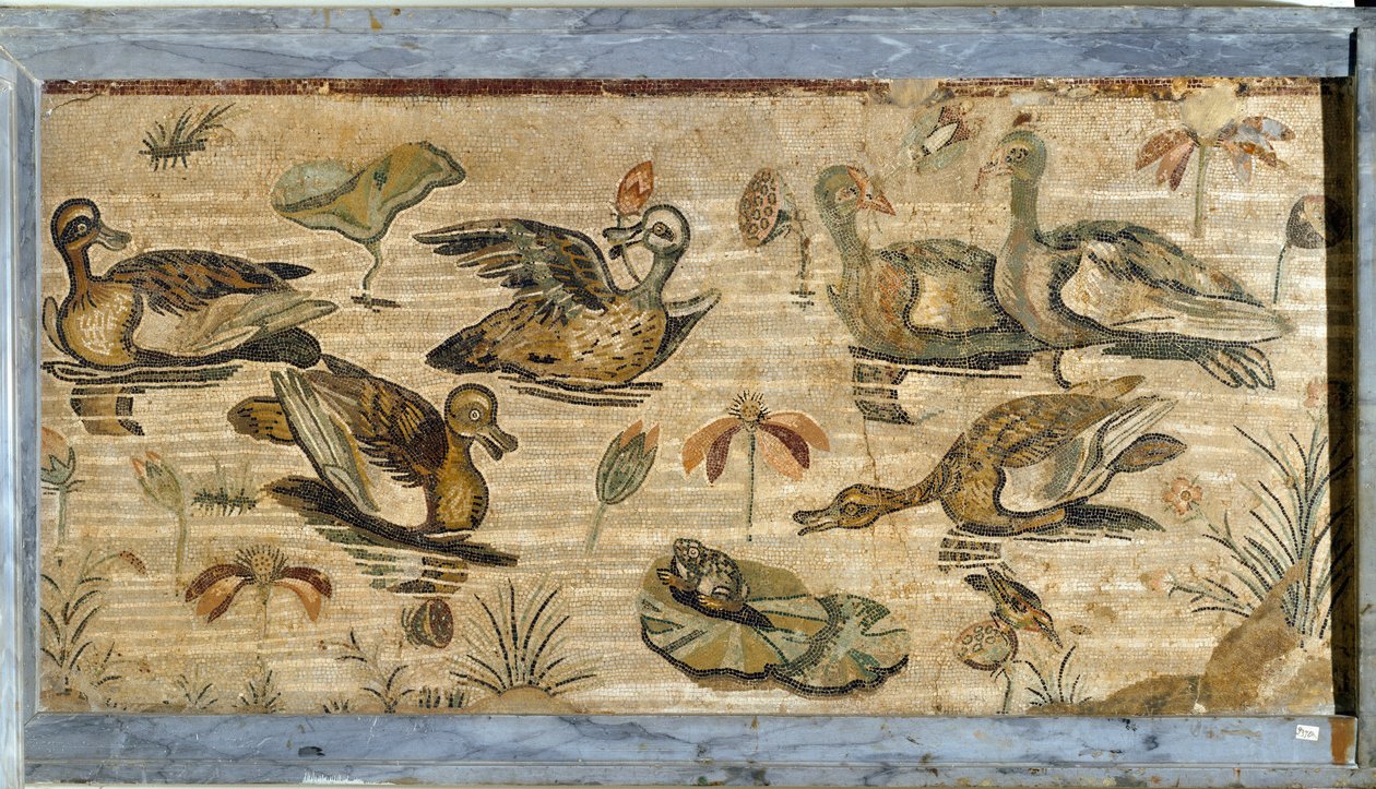 Római művészet: kacsa, béka és tavirózsa egy tóban. Mozaik a pompei fauna villából. 1. század. Homályos. 132x164 cm. Museo Archeologico Nazionale, Nápoly alkotó: Roman