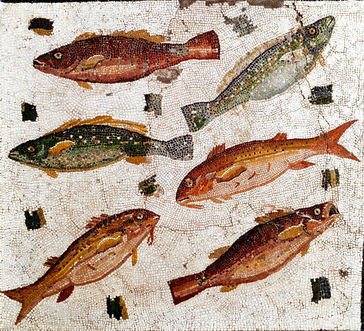 Római művészet: halat ábrázoló mozaik. Kr.e. 1. század. Róma, Museo Nazionale Romano - Római művészet: halakat ábrázoló mozaik. Kr.e. 1. század. Museo Nazionale Romano, Róma, Olaszország alkotó: Roman