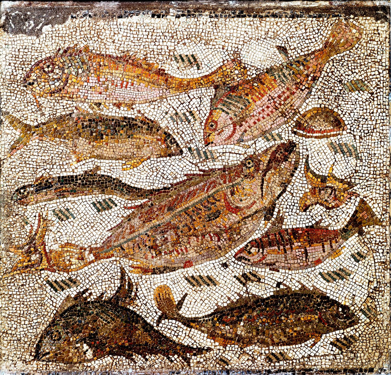 Római művészet: halat ábrázoló mozaik. 1. vagy 2. században. A Villa dei Settimii felől a Via Cassián. Róma, Museo Nazionale Romano -Római művészet: halakat ábrázoló mozaik. 1. vagy 2. században. A Villa dei Settimii felől, a Via Cassia felől. Római Nemzet alkotó: Roman
