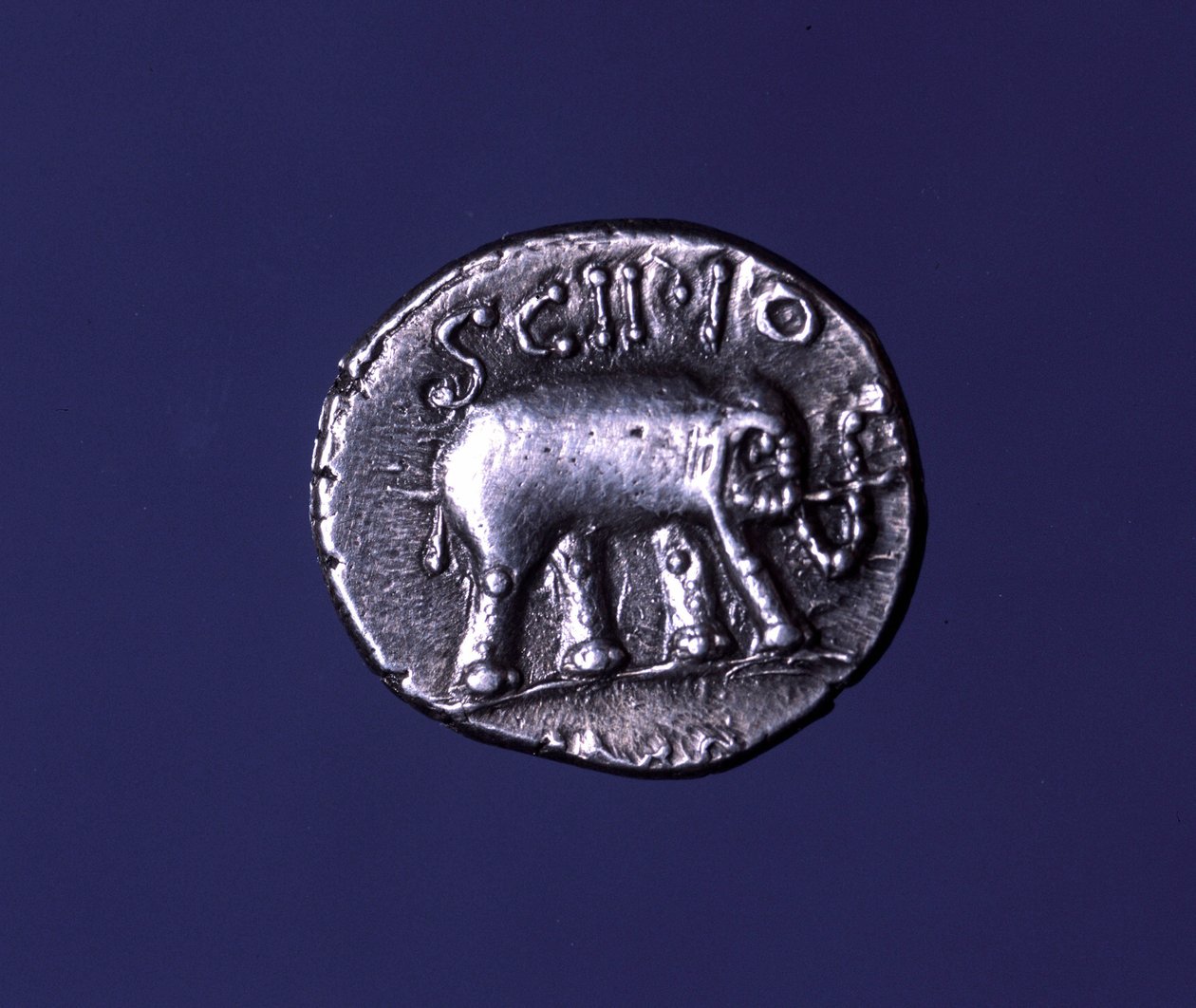 Ezüst érme, amely egy elefántot, a Scipions fetiche állatát ábrázolja. Lucius Caecilius Metellus Kr.e. 251-ben elfoglalta a karthágói elefántokat. Kr.e. 47-46. alkotó: Roman