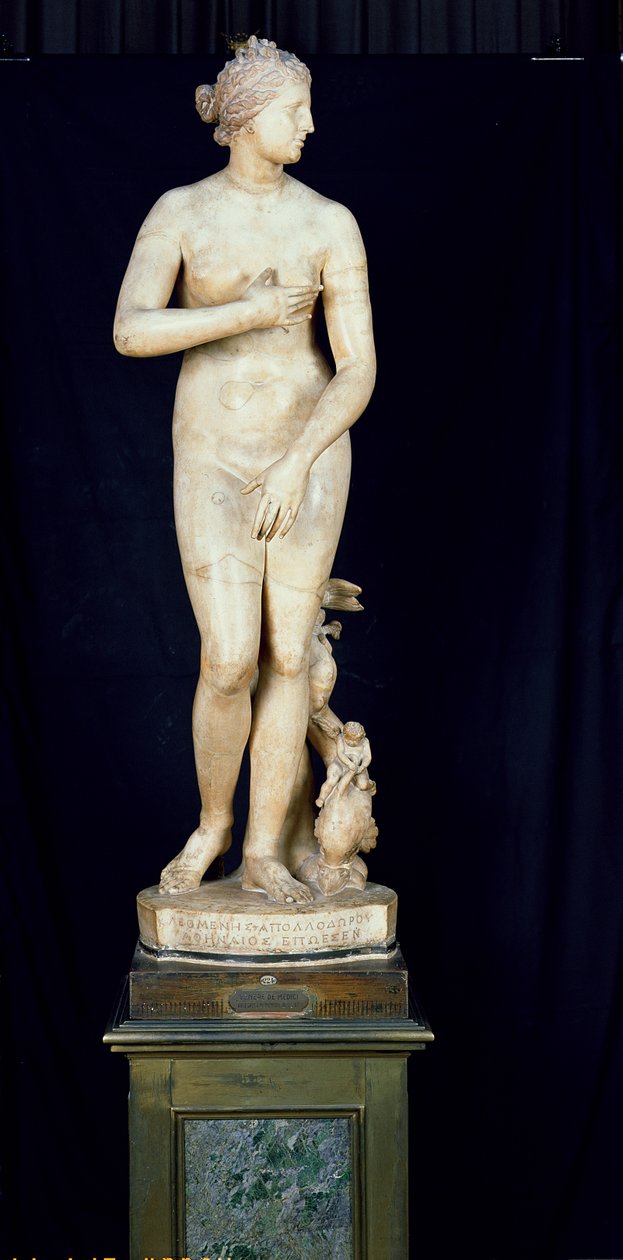 A Medici Vénusz, Praxiteles hellenisztikus eredetijének másolata (Kr. e. 370-330) (márvány) alkotó: Roman