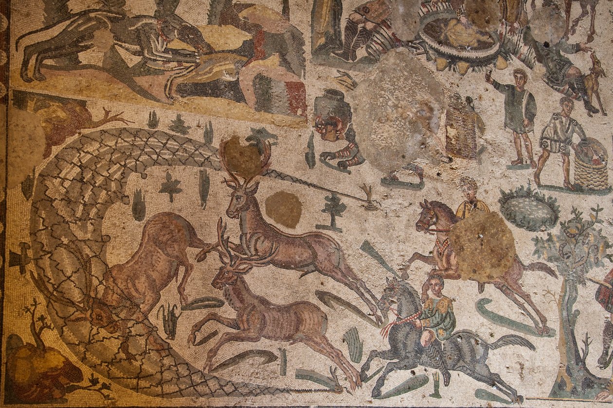 A magánlakás harmadik szobája, padlómozaik, Villa Romana del Casale, Piazza Armerina, Szicília, Olaszország (fotó) alkotó: Roman