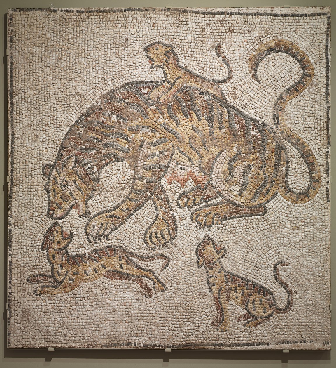 Tigris és kölykök, i.sz. 300 körül alkotó: Roman