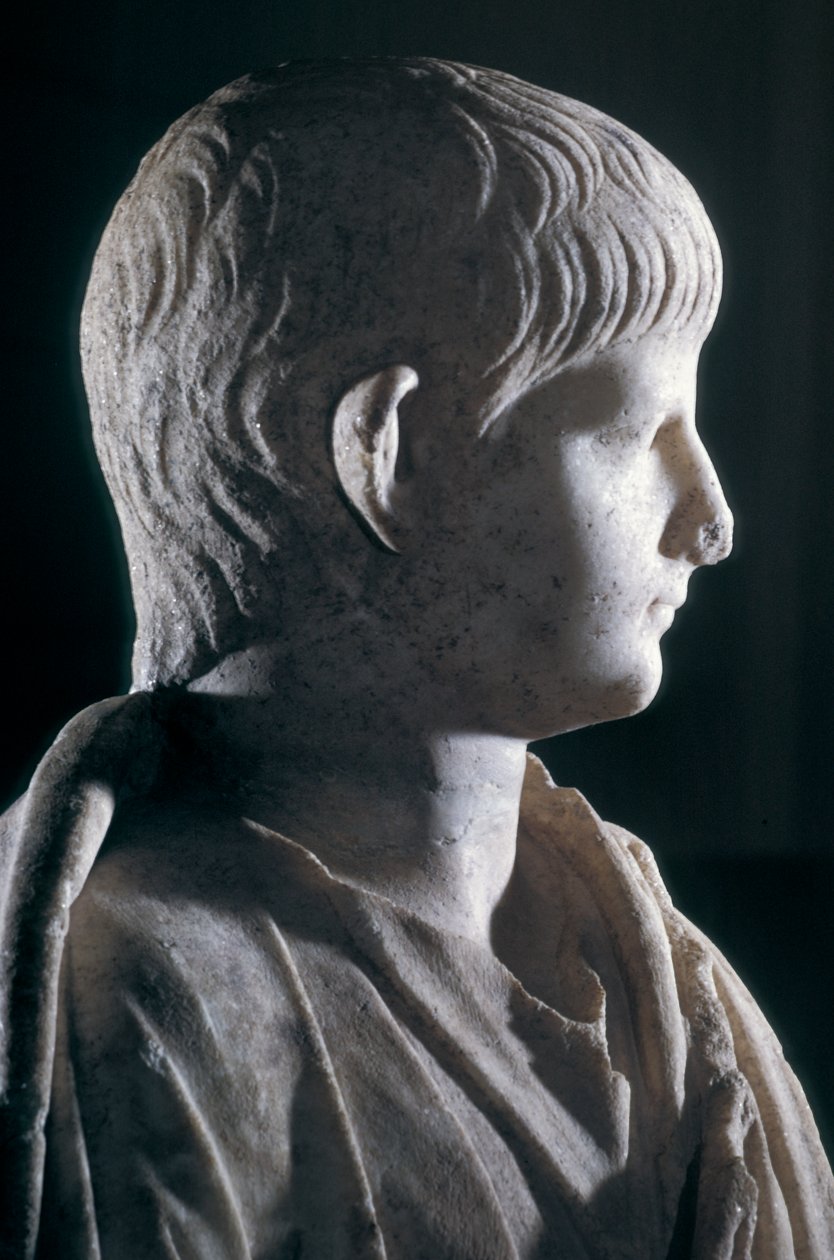 Az ifjú Néró togátuszobra, a fej oldalnézete, Kr.u. 50 körül (márvány) (140378 részlet) alkotó: Roman