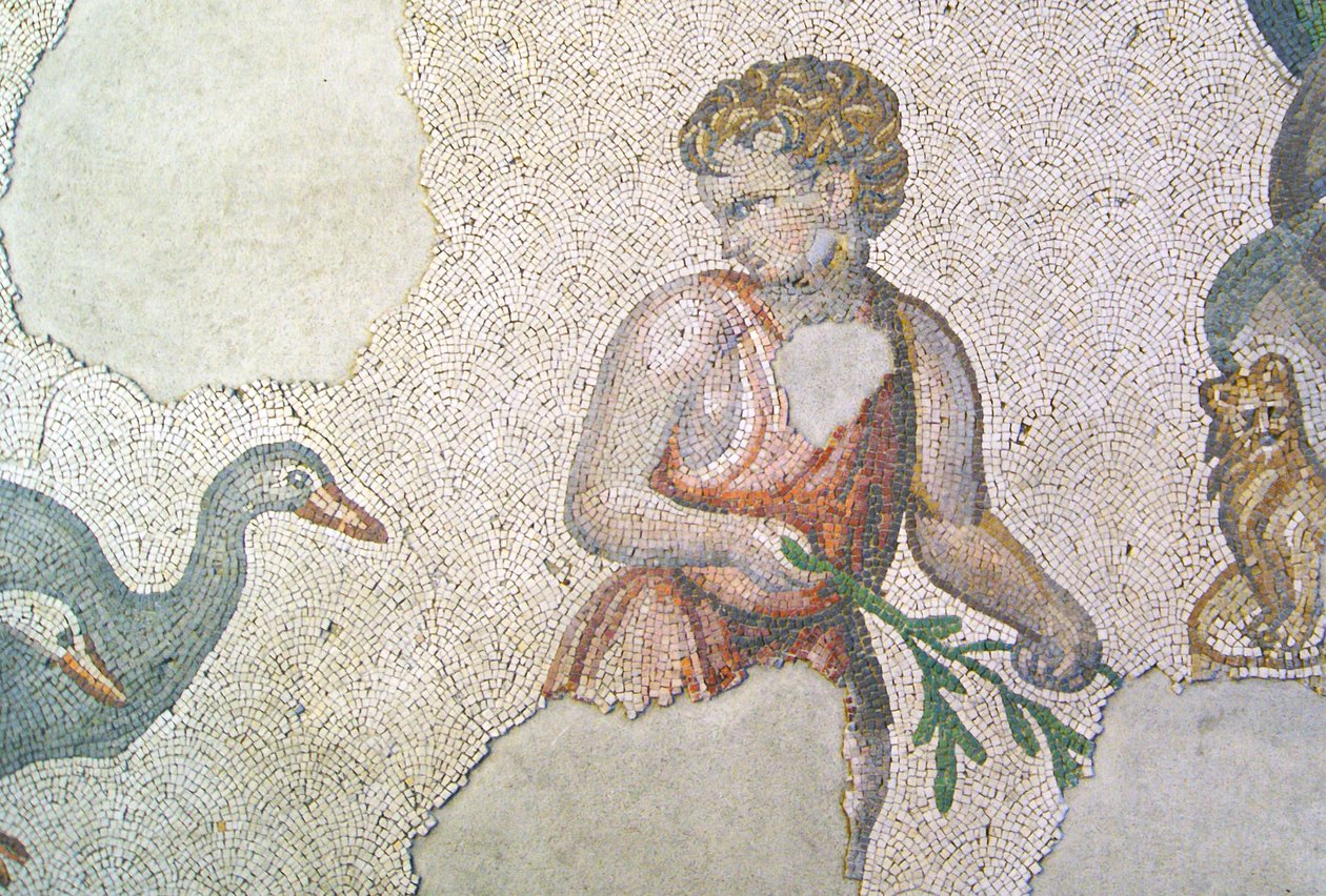 Ismeretlen kép alkotó: Roman