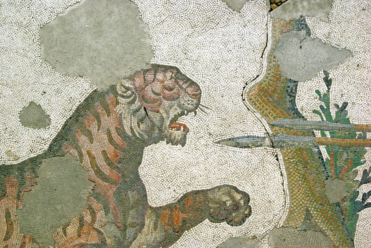 Ismeretlen kép alkotó: Roman