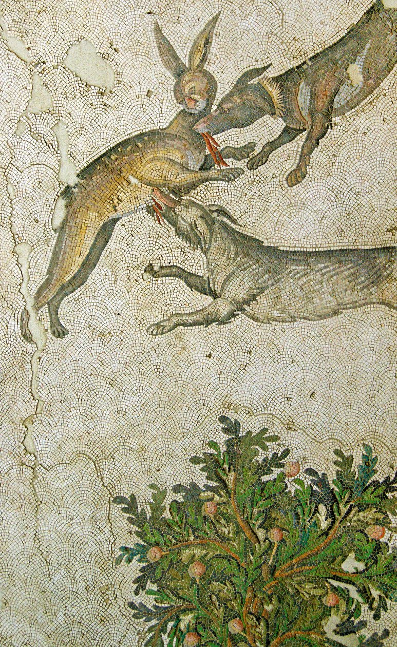 Ismeretlen kép alkotó: Roman