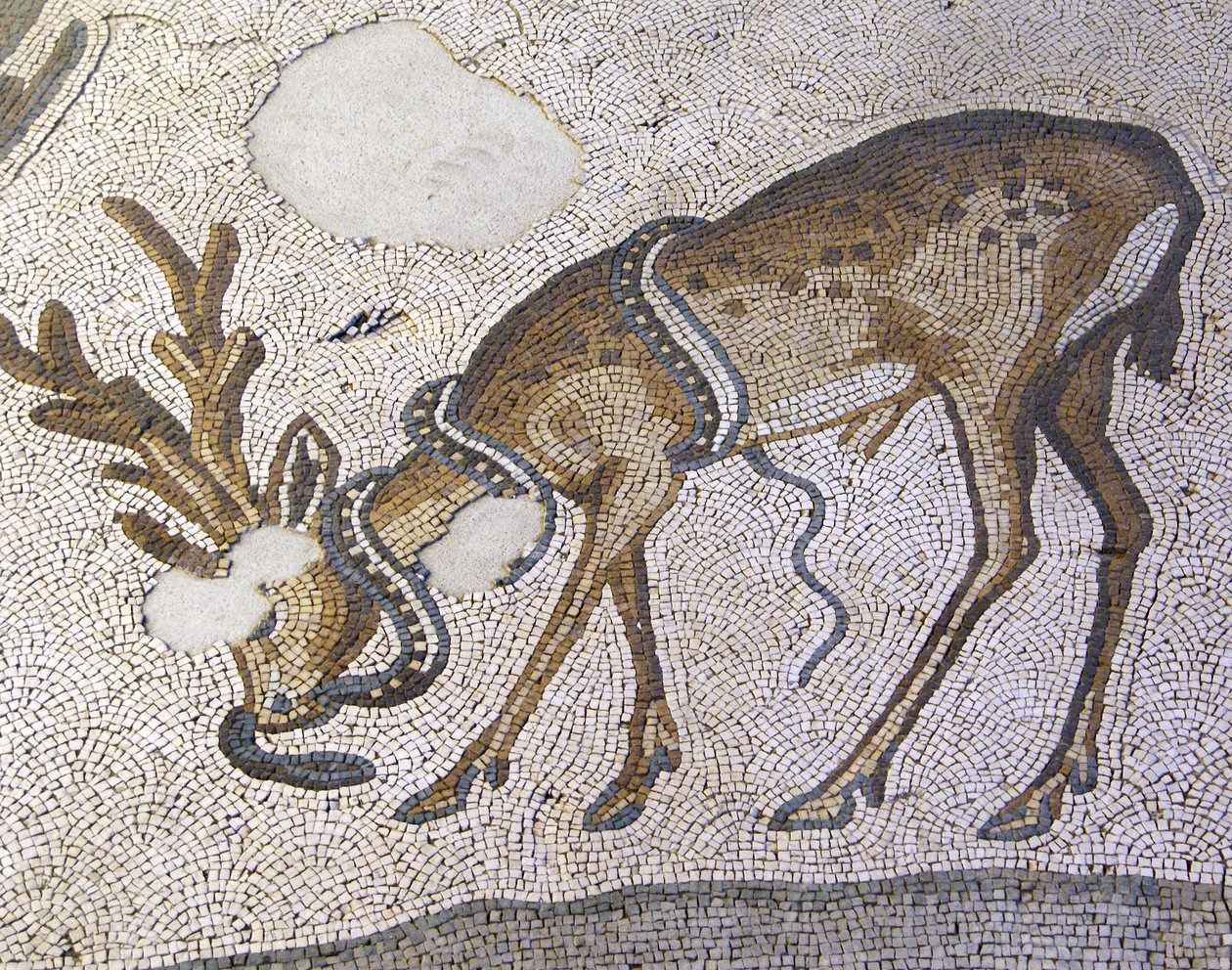 Ismeretlen kép alkotó: Roman