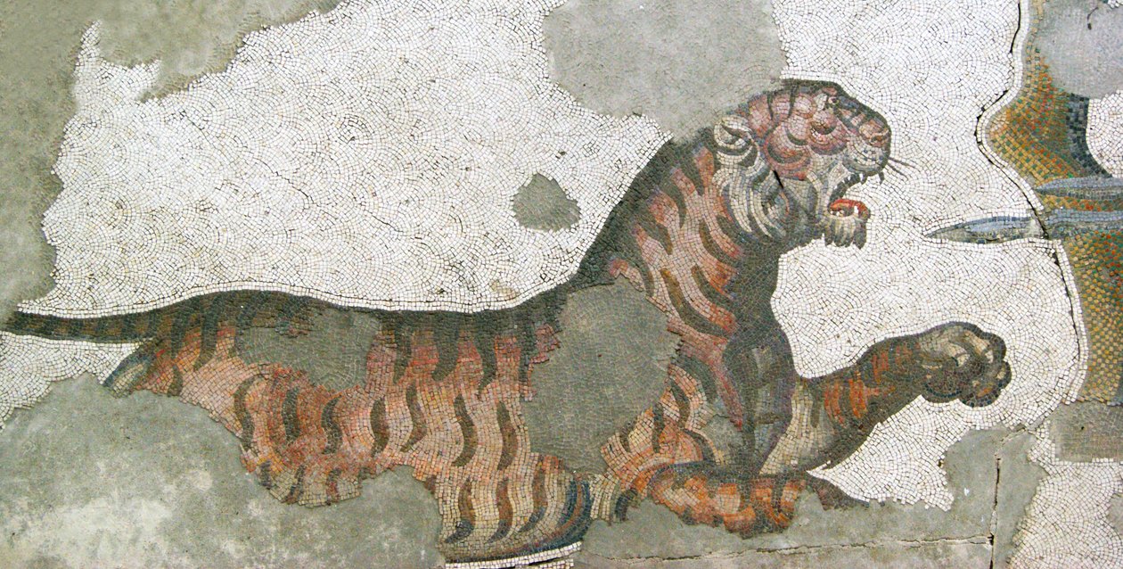 Ismeretlen kép alkotó: Roman
