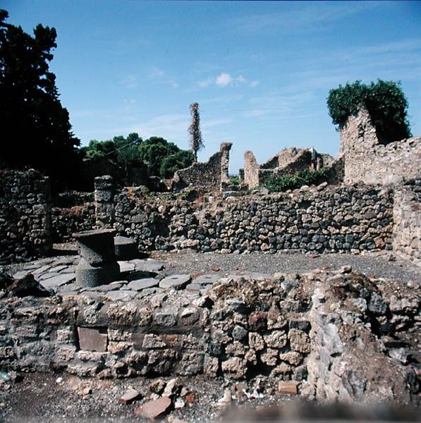 Kilátás a romos házakra alkotó: Roman