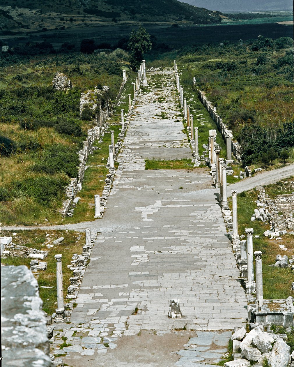 A kikötőt a színházzal összekötő Port Way (vagy Arcadian Way) kilátása, 2. század alkotó: Roman