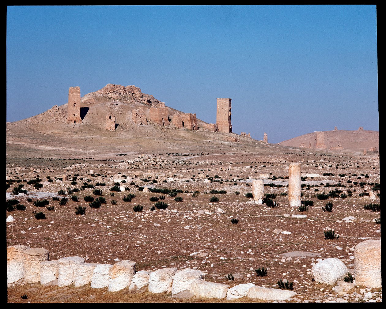 Kilátás Iamblichus és Elahbel toronysírjaira (Fénykép) alkotó: Roman