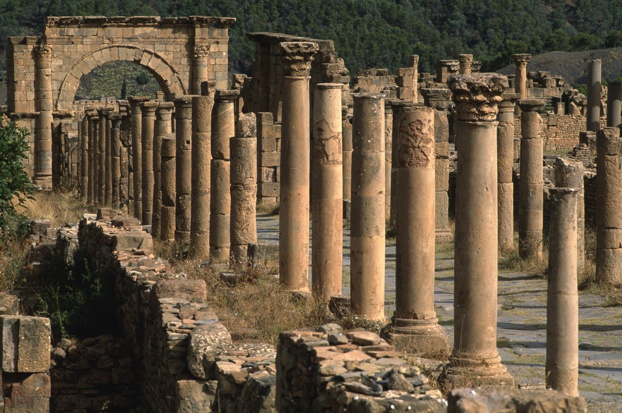 Cardo, magas birodalmi időszak (i.e. 27-395) alkotó: Roman Imperial Period