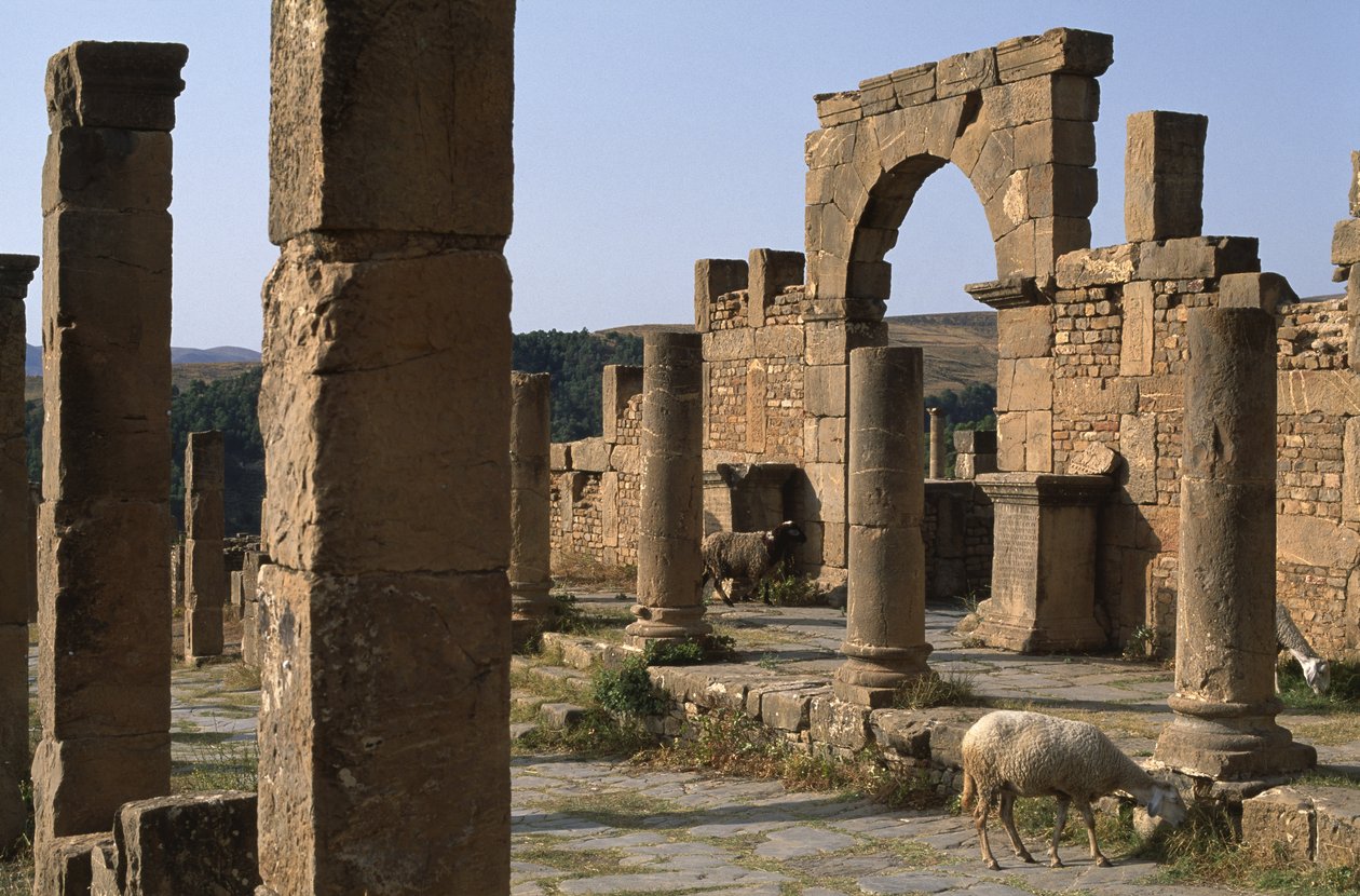 Cardo és belépés a Cosinius piacra, a magas birodalmi időszak (i.e. 27-395) alkotó: Roman Imperial Period