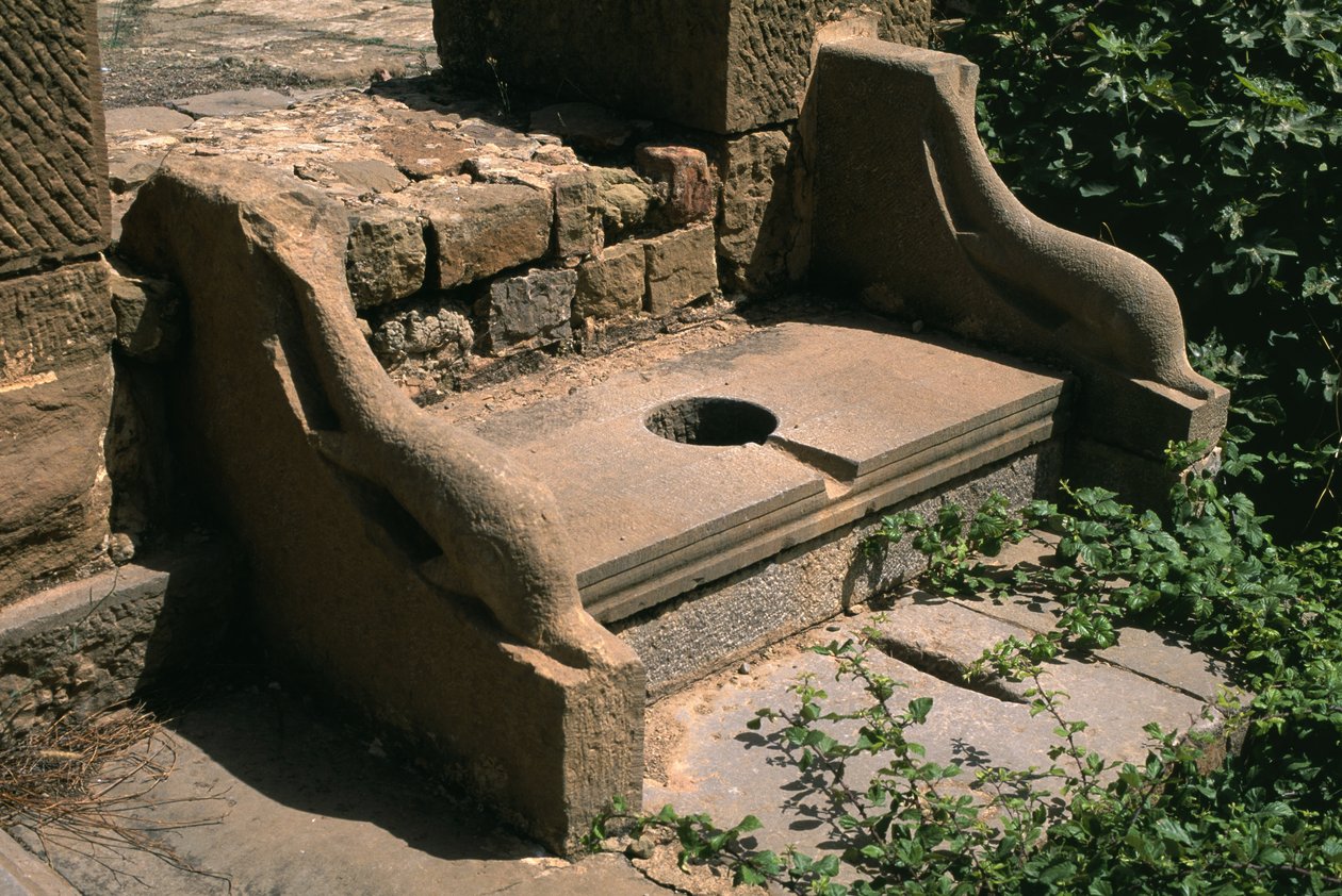 A fórum delfinkaros nyilvános WC-je; Nagy birodalmi időszak (i.e. 27-395) alkotó: Roman Imperial Period