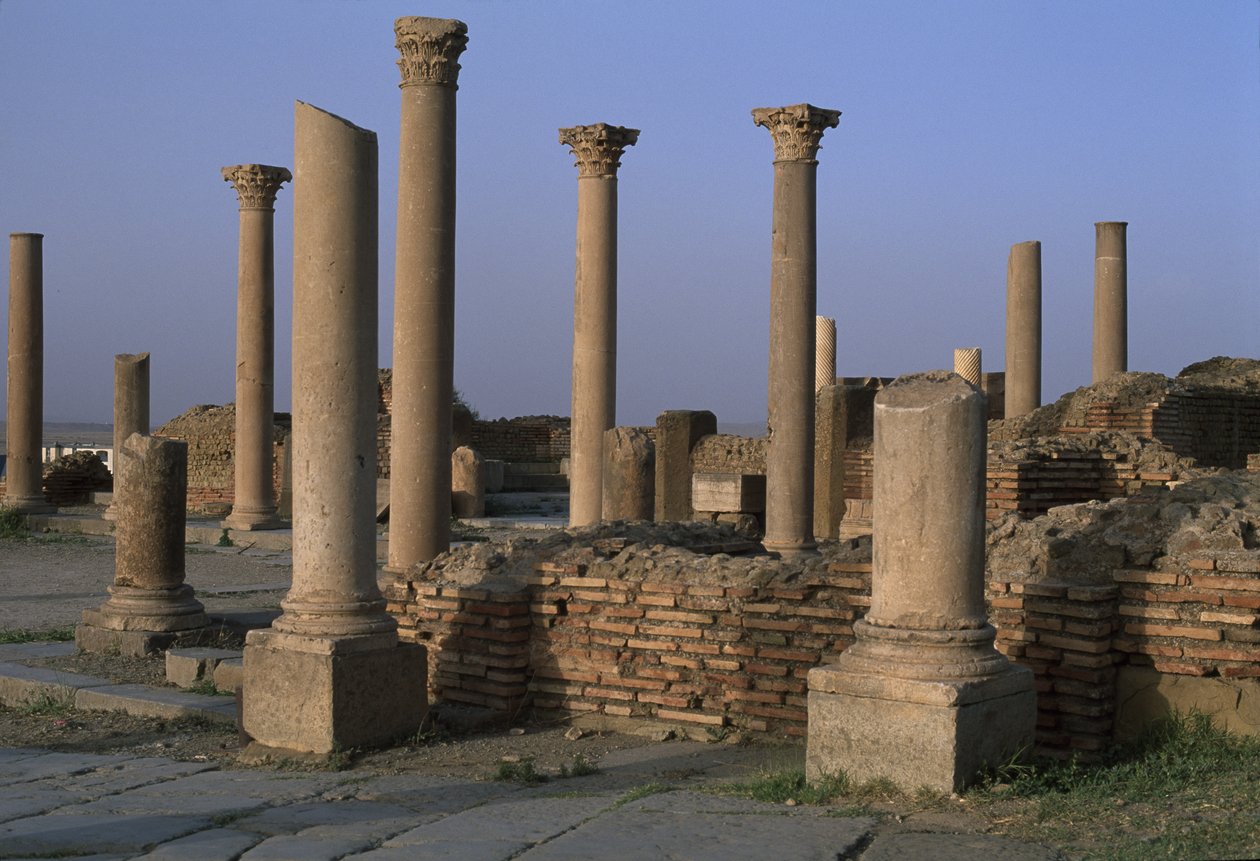 A könyvtár látképe, Kr.u. 100 körül, Nagy Császárkor (Kr.e. 27-395) alkotó: Roman Imperial Period