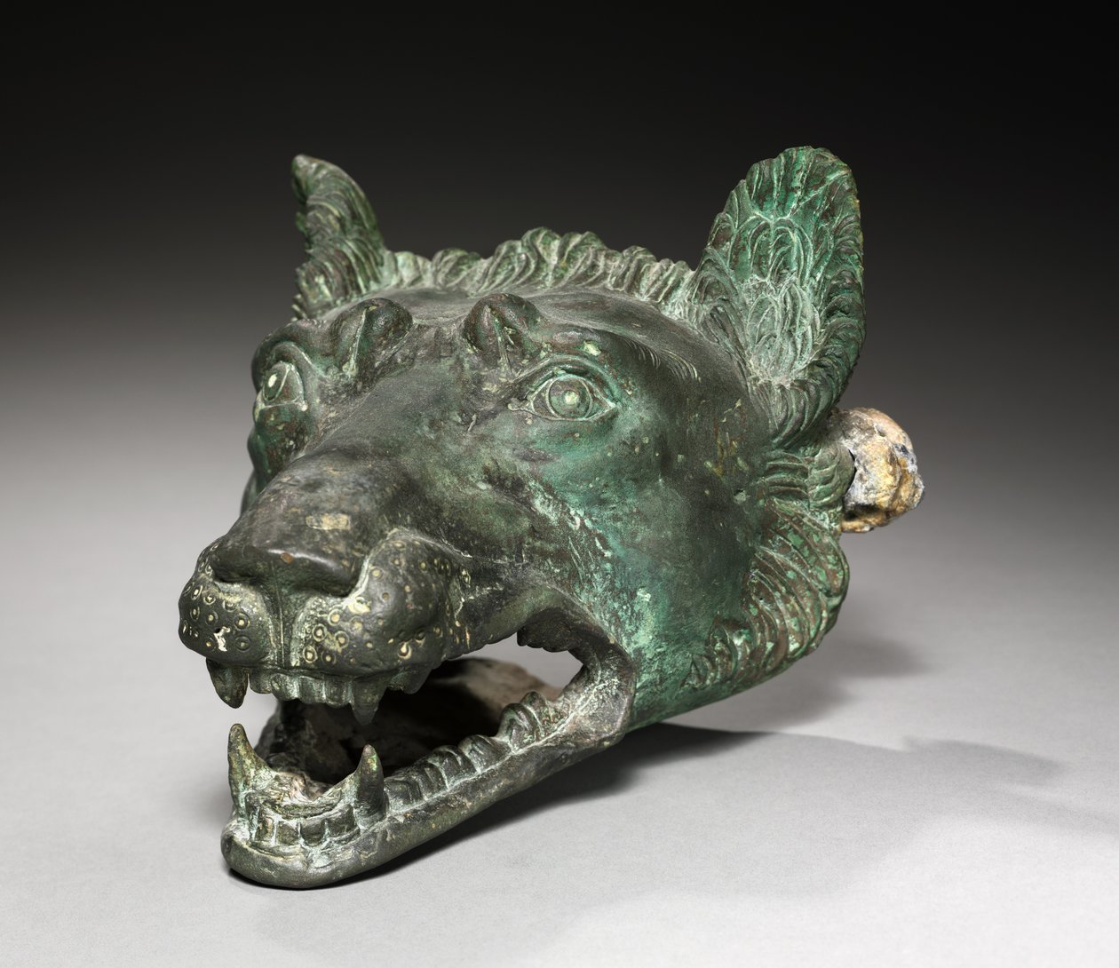Farkasfejű bárka szerelvény, 1-200 alkotó: Roman Imperial Period