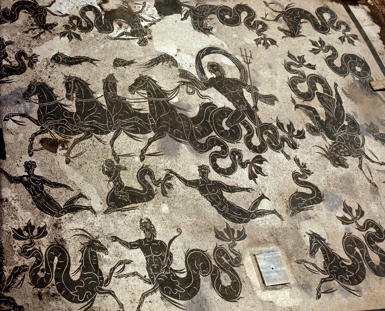 Ősi Ostia (Ostia). Neptun kifejezéseinek mozaikja a tankján, delfinek és tengeri szörnyek körül alkotó: Roman Roman
