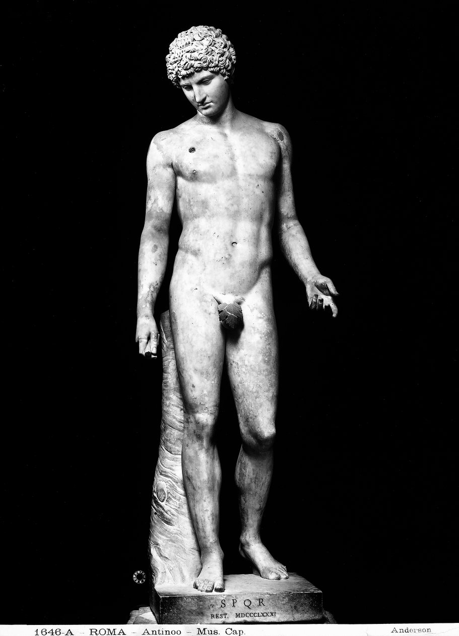 Antinous (márvány) alkotó: Roman Roman