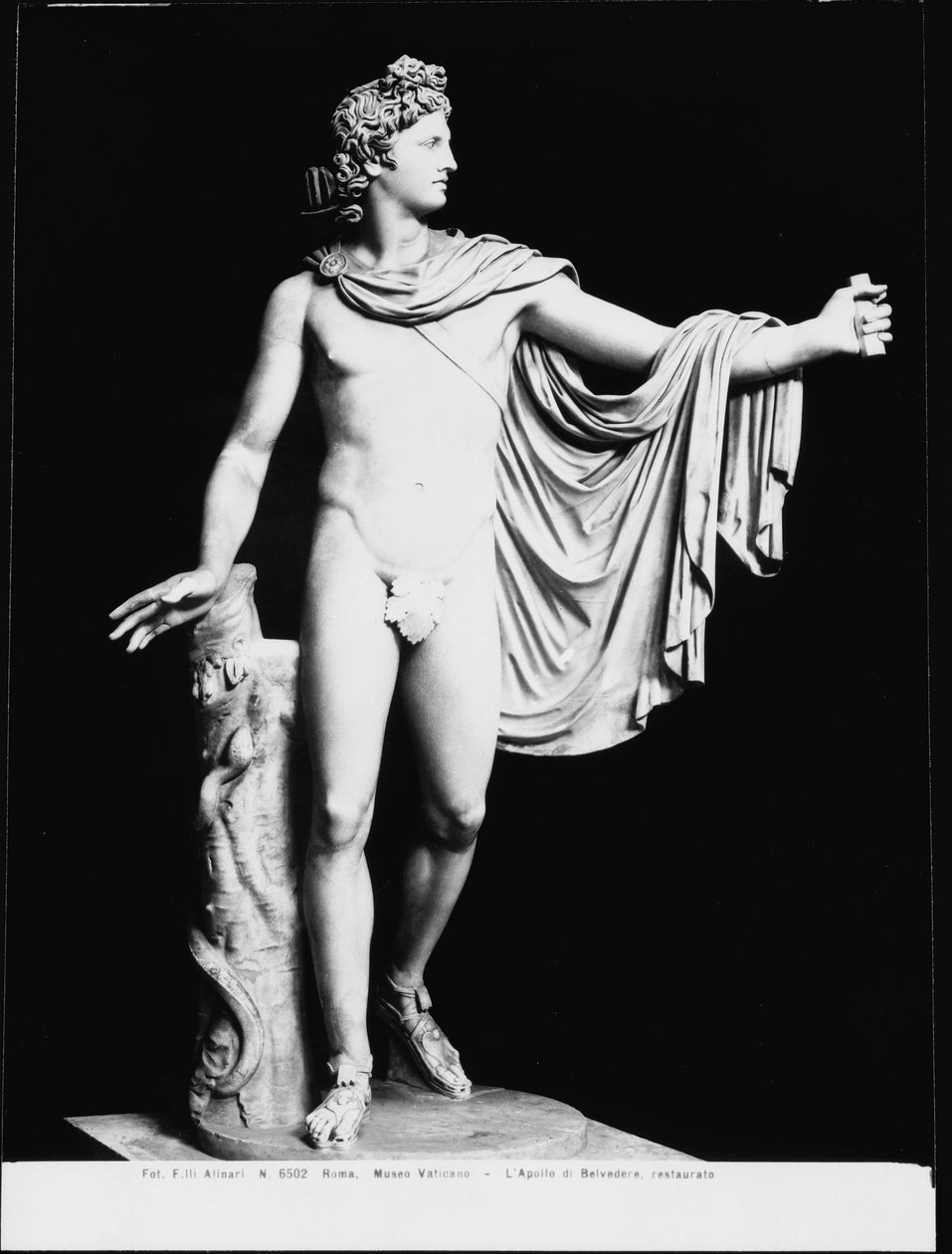 Apollo Belvedere, egy Kr.e. 4. századi görög eredeti római másolata (márvány) (f/w fotó) (restaurálás után) alkotó: Roman Roman