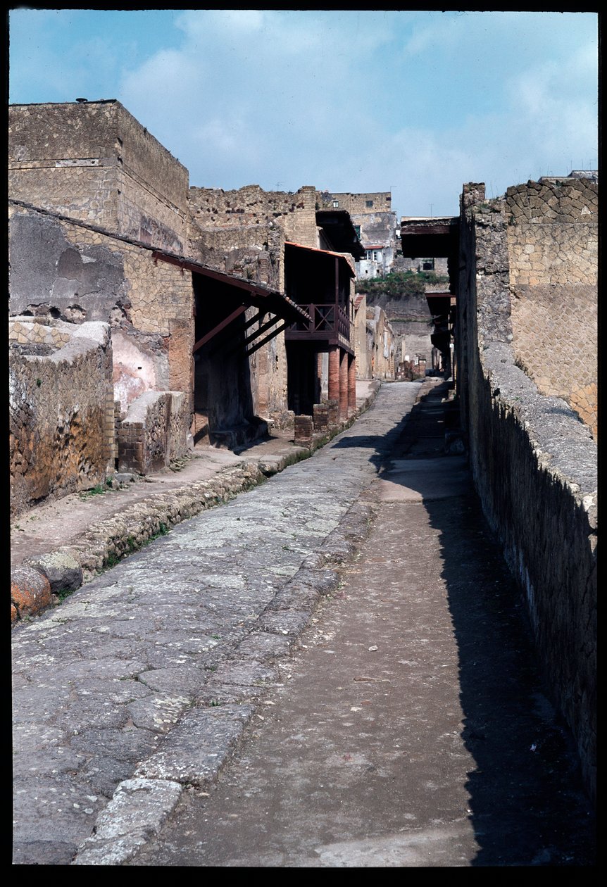 Cardo IV, Kr.e. 5. század – Kr. u. 1. század alkotó: Roman Roman