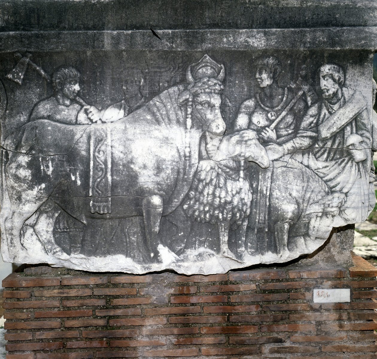 Foro Romano: Suovetaurilia (disznó, kos és bika feláldozása). Róma alkotó: Roman Roman