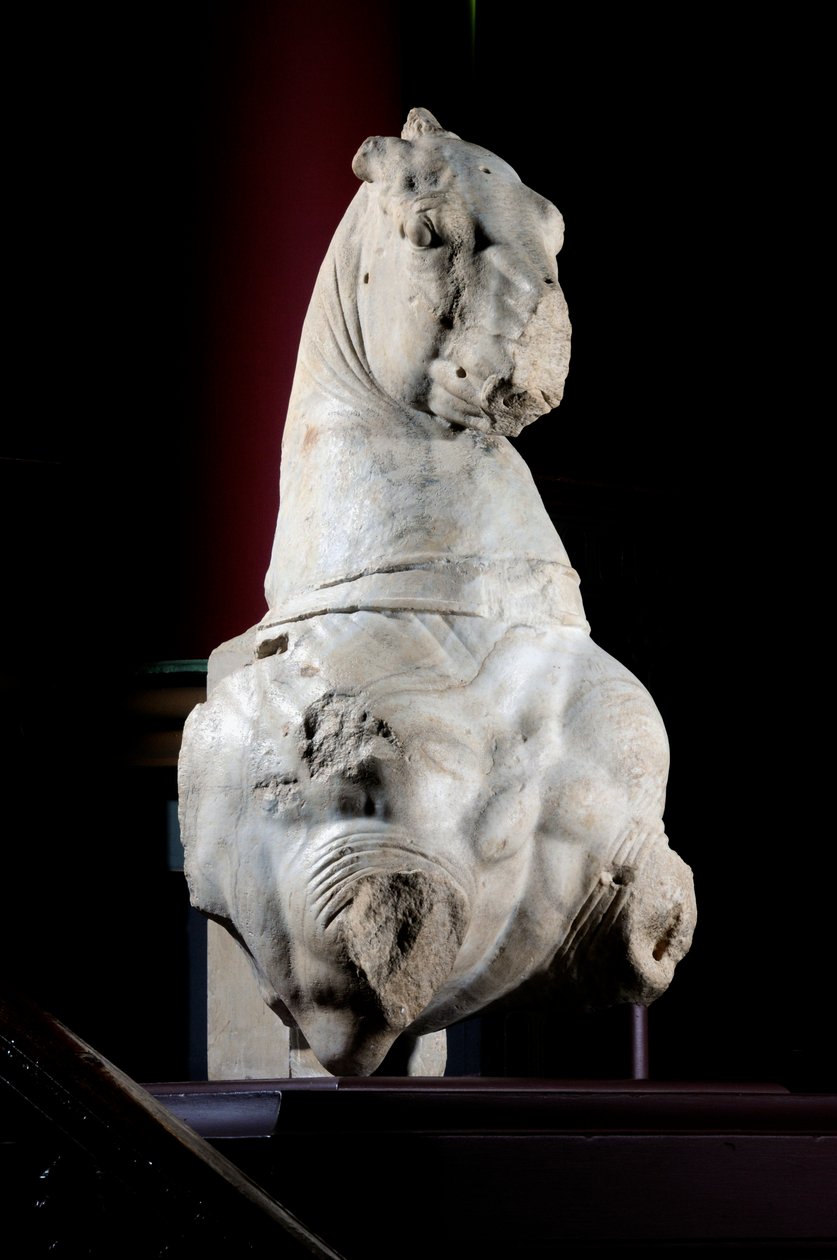 A ló elülső része (márvány) (lásd még: 371182 és 371183) alkotó: Roman Roman