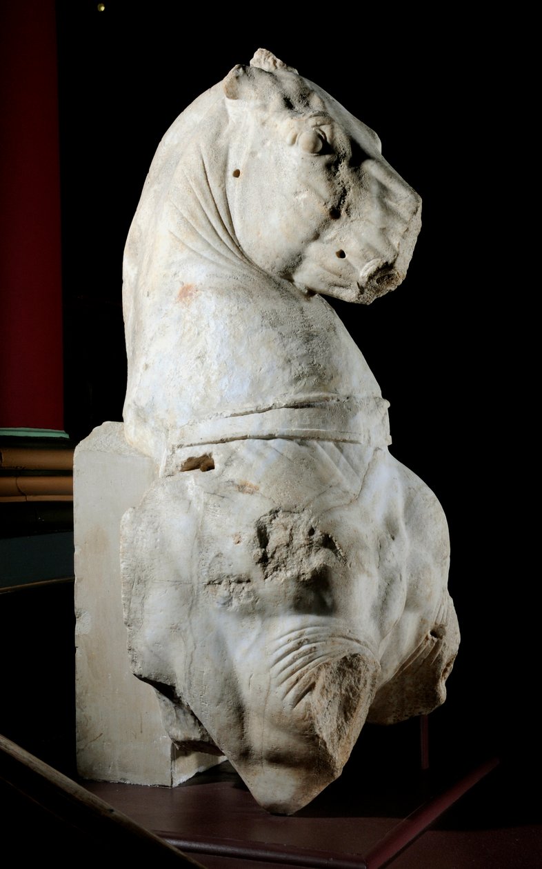 A ló elülső része (márvány) (lásd még: 371183 és 371184) alkotó: Roman Roman