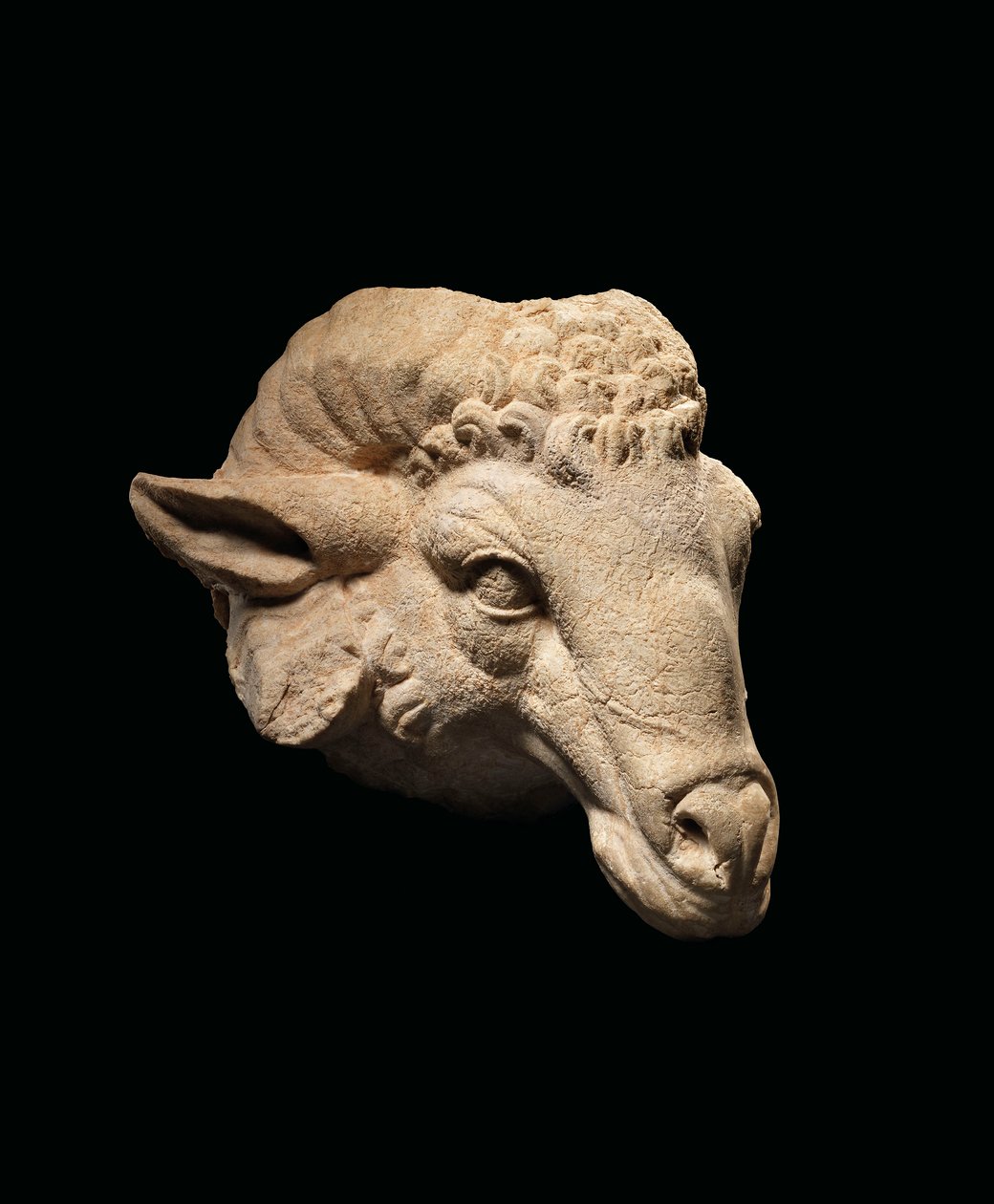 Egy kos feje, Kr.e. 1. század – Kr. u. 1. század (márvány) alkotó: Roman Roman