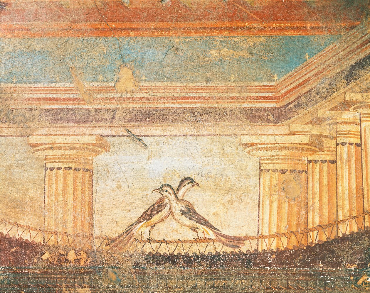 Hera Sannita madarakat ábrázoló freskó, Labirintus háza, Pompeii, Campania, római civilizáció alkotó: Roman Roman