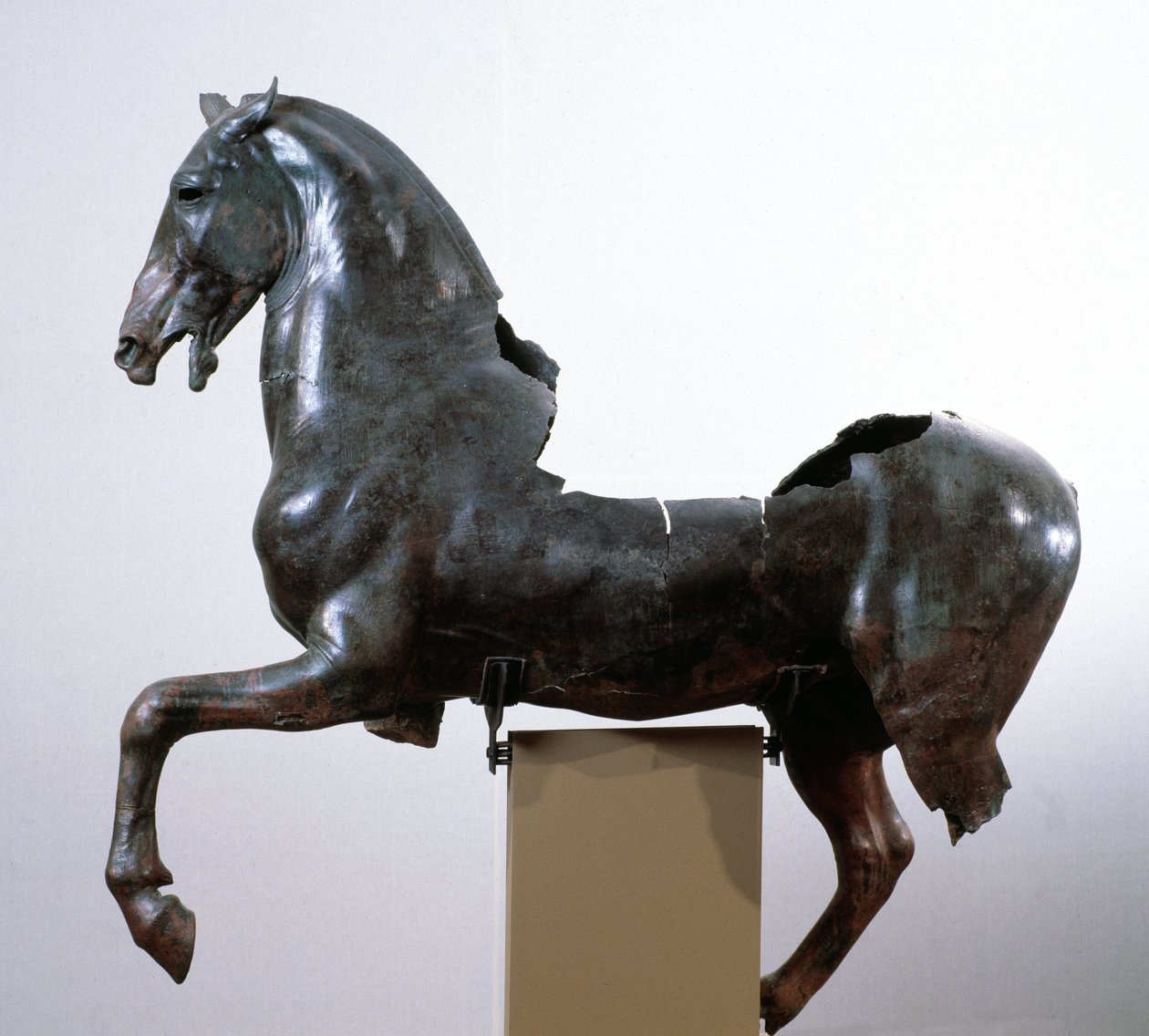 Ló (bronz szobor egy görög eredeti után, Kr. e. 4. századból) alkotó: Roman Roman
