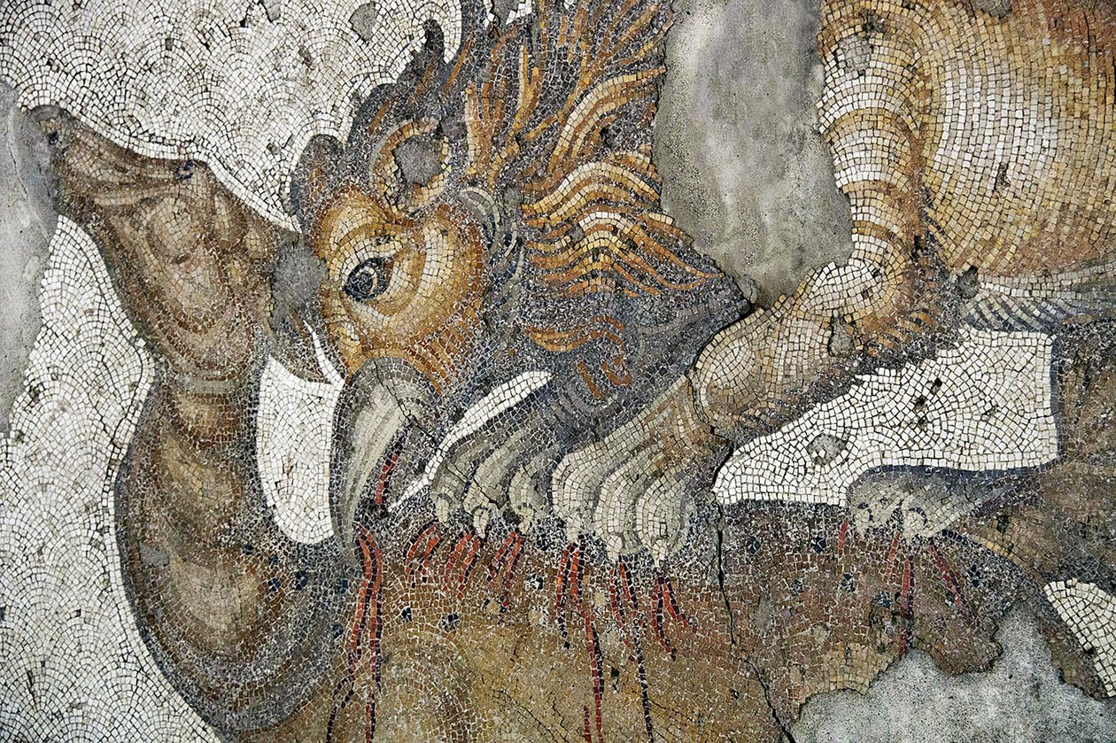 Egy szarvasra támadó oroszlán grifont ábrázoló mozaik, Arasta Bazár, Ahmet szultán mecset, Isztambul. alkotó: Roman Roman