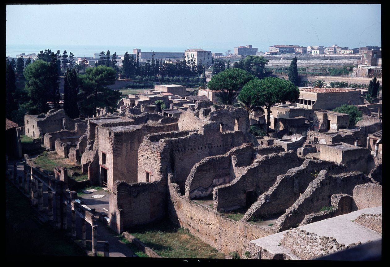 Panorámás kilátás a régészeti lelőhelyre, Kr.e. 5. század – Kr.u. 1. század alkotó: Roman Roman