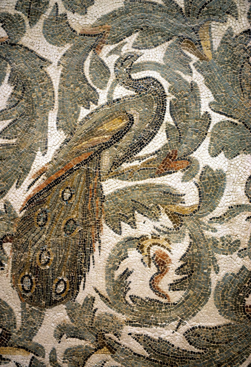 Páva, mozaikrészlet – Kr. e. 4. század, Bardo Múzeum, Tunisz alkotó: Roman Roman