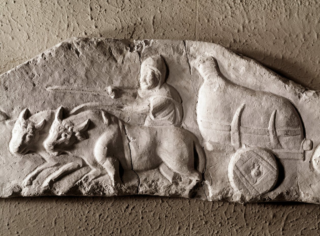 Római művészet: faragott ökör tank, Római Régiségek Múzeuma, Róma alkotó: Roman Roman