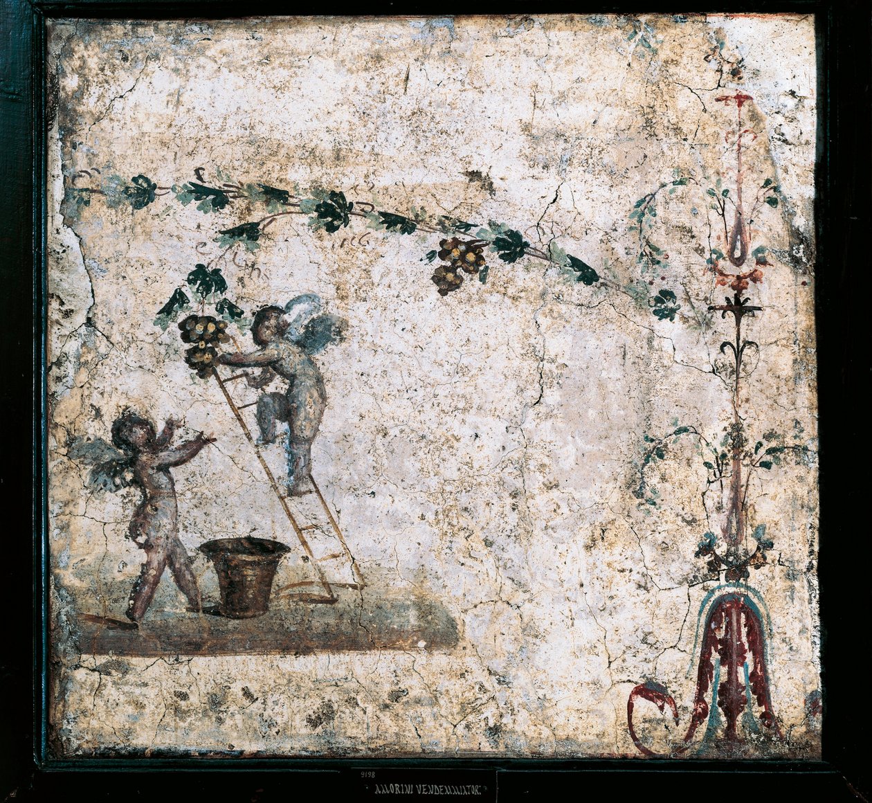 Harmadik stílusú freskó, amely Ámor szüretelését ábrázolja, a pompeii Marcus Lucretius házából alkotó: Roman Roman