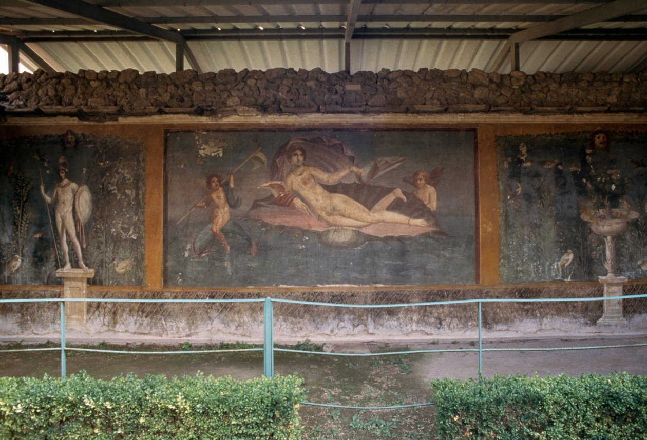 Vénusz kagylóban, freskó a peristyliumból a Vénusz házában, a pompeii Shellben (UNESCO világörökségi lista) alkotó: Roman Roman